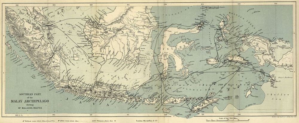 Catatan Alfred Russel Wallace tentang Makassar di Tahun 1856