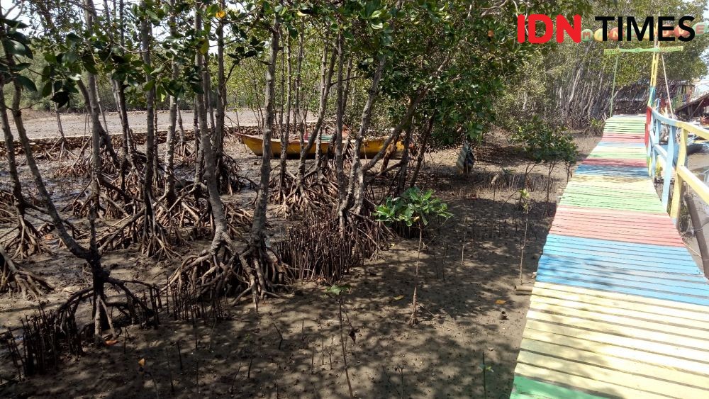 Hutan Mangrove Langkat Rusak, Petugas Dinas Kehutanan Diadang Warga