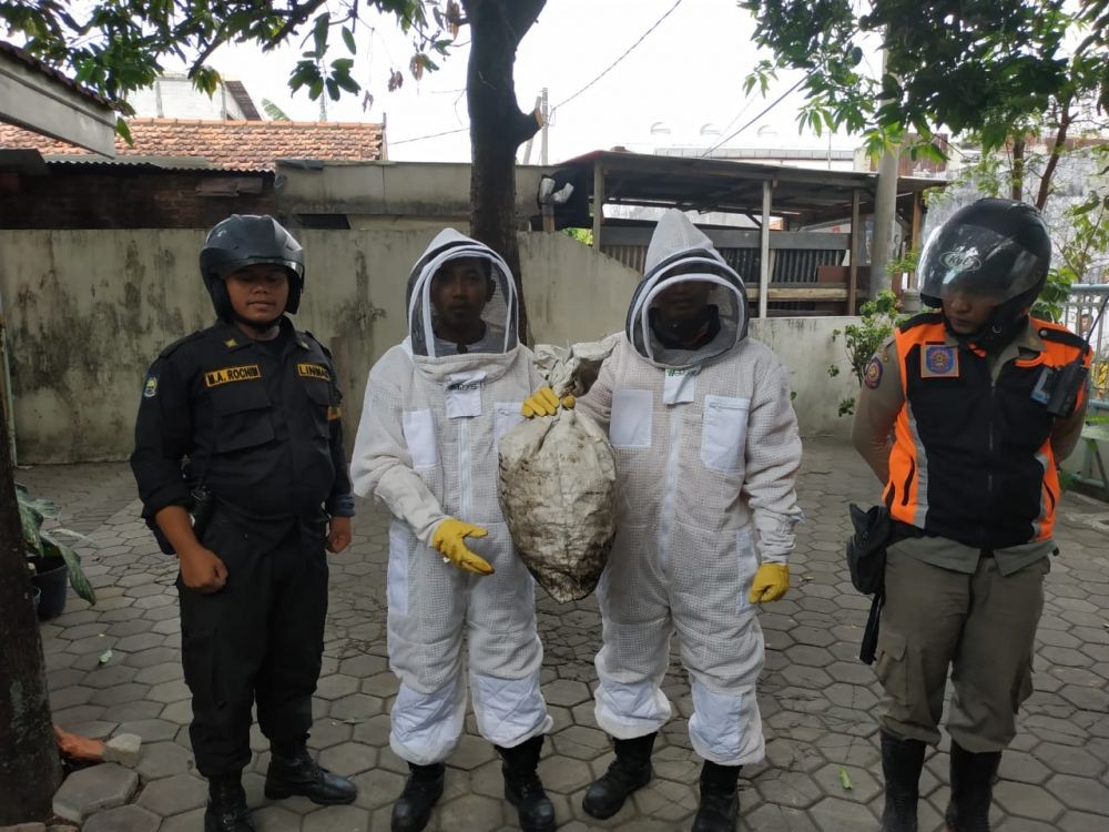 Dikejar Tawon Vespa, 4 Bocah di Sukoharjo Disengat Hingga Memar