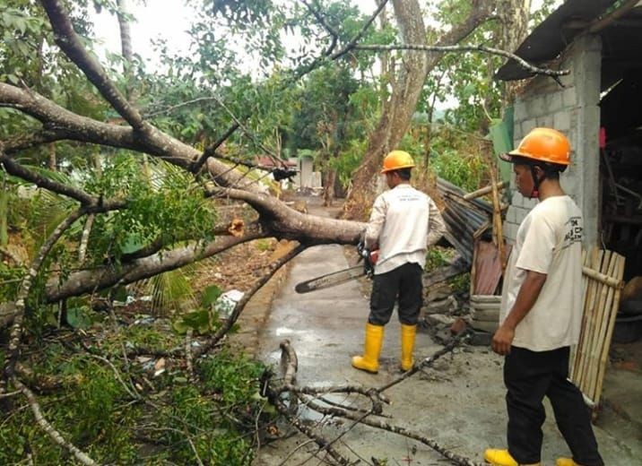 Bencana Kekeringan dan Angin Kencang Mengancam Yogyakarta 