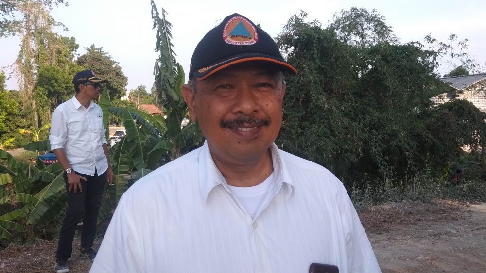 Wabah Tawon Ndas Merebak, BPBD Musnahkan Sarang di Empat Kecamatan  