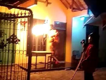 Wabah Tawon Ndas Merebak, BPBD Musnahkan Sarang di Empat Kecamatan  