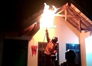 Wabah Tawon Ndas Merebak, BPBD Musnahkan Sarang di Empat Kecamatan  