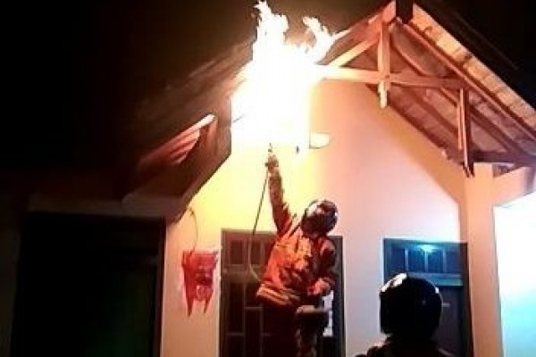 Wabah Tawon Ndas Merebak, BPBD Musnahkan Sarang di Empat Kecamatan
