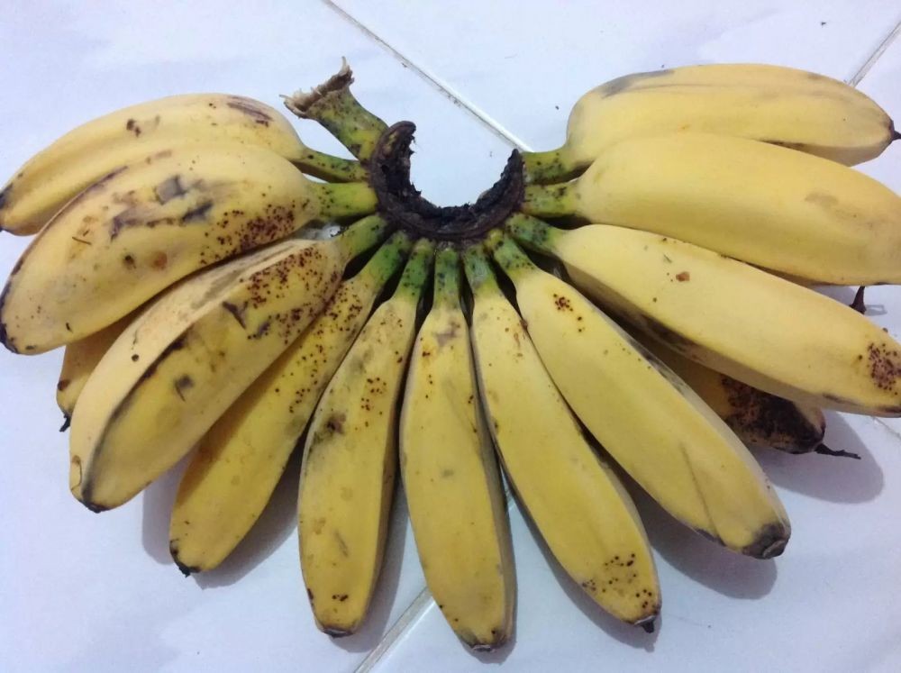 Renyah dan Legit Lho! Yuk Bikin Pisang Keju ala Yummy dengan Resep Ini