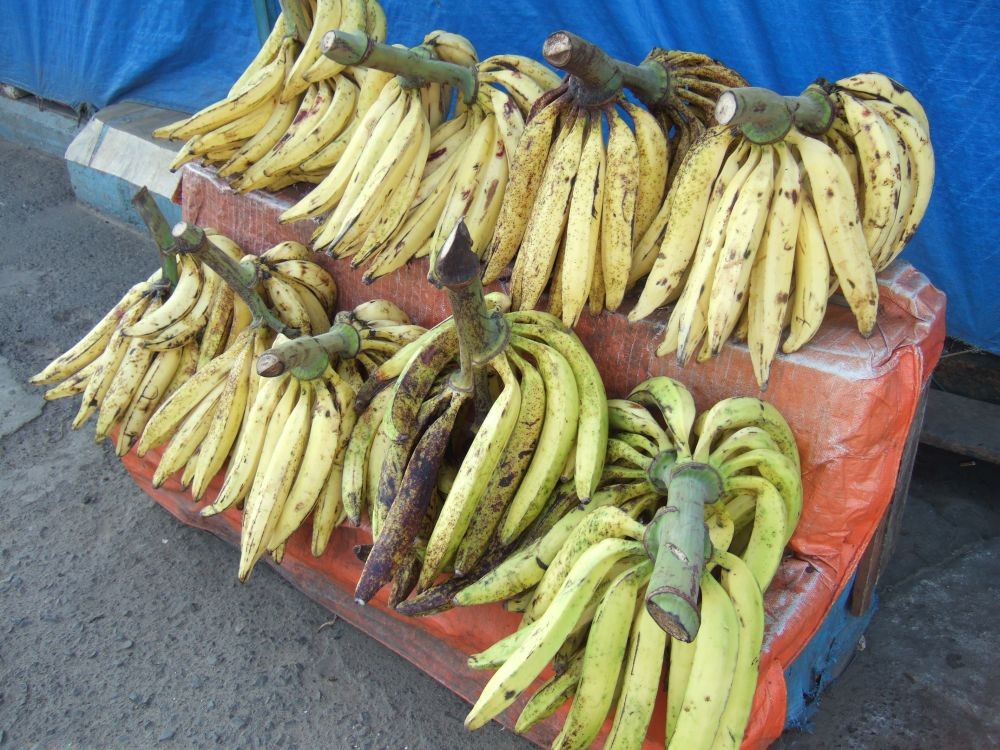 Renyah dan Legit Lho! Yuk Bikin Pisang Keju ala Yummy dengan Resep Ini