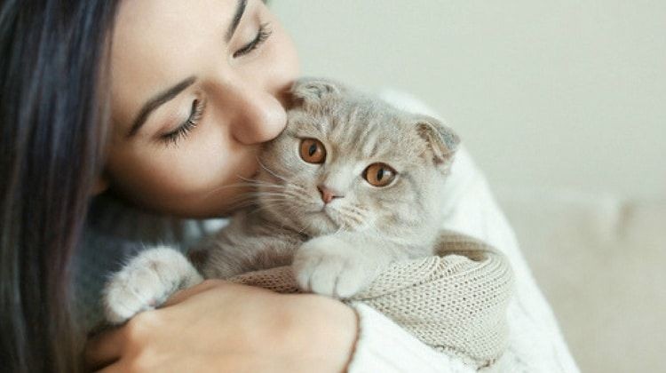 Apakah Kucingmu Mencintaimu? Ini Cara Ilmiah Mengetahuinya