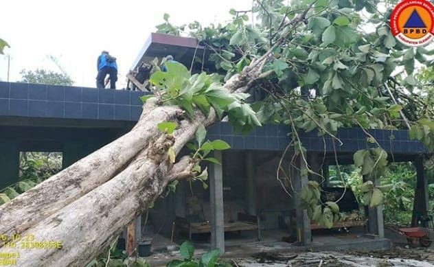 Cuaca Ekstrem di Purbalingga, Rumah Warga Tertimpa Pohon Durian