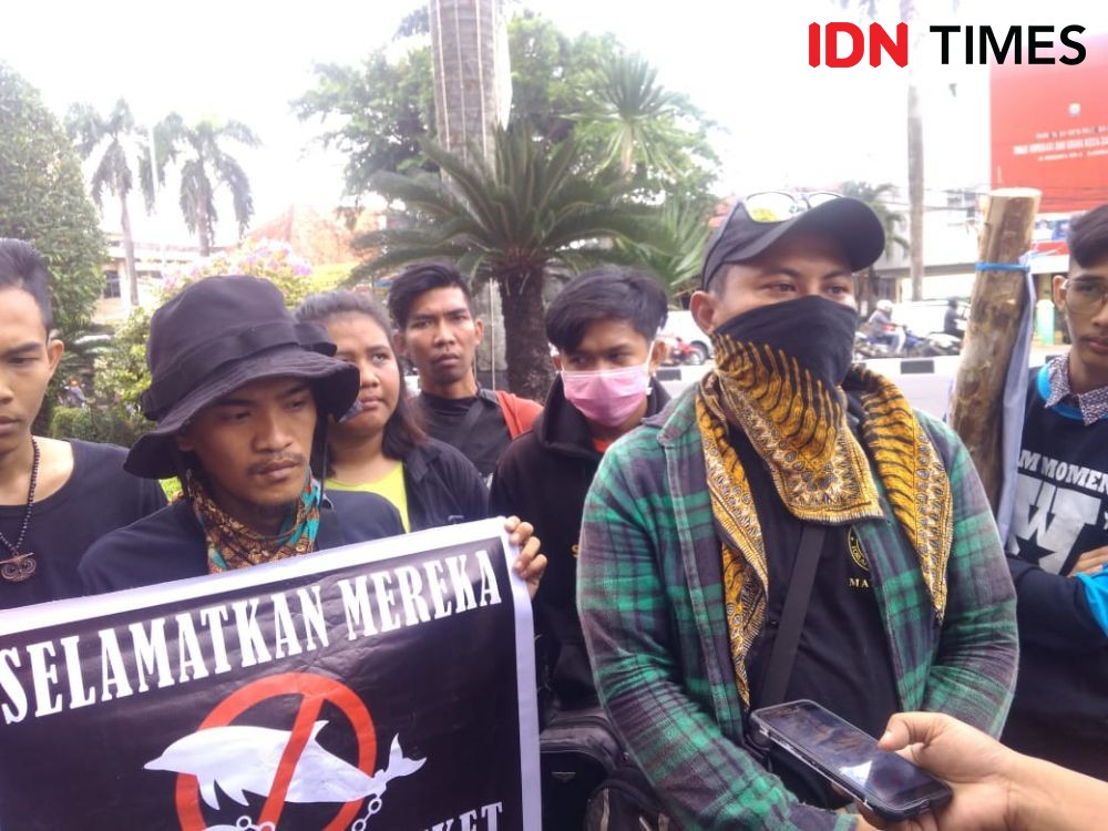 Komunitas Penyayang Hewan Kecam Sirkus Lumba-Lumba di Palembang     