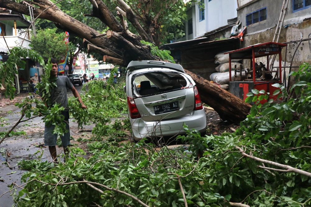 BMKG Beri Alarm Peningkatan Angin dan Gelombang Tinggi di Lampung