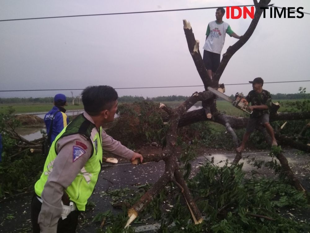Angin Kencang Landa Dua Wilayah Kecamatan di Kabupaten Madiun