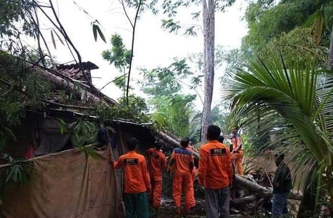 Bus Antar Kota di Bima Bernasib Nahas Tertimpa Pohon Tumbang