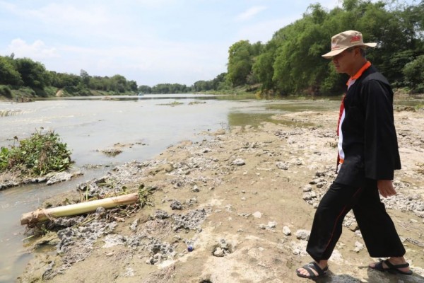 Kualitas Air Bengawan Solo Membaik, Ganjar Cek Langsung