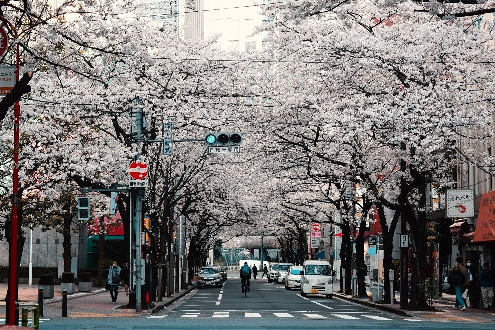 7 Hal Ini Nih yang Bikin Traveling ke Jepang Worth It Banget, Setuju?