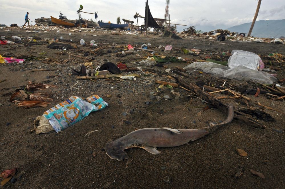 DKP Sulsel Kewalahan Awasi Pencemaran Laut dari Sampah