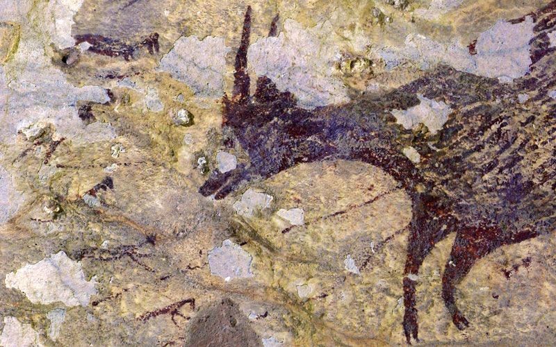 Berumur 45 Ribu Tahun, Lukisan Gua di Sulsel Diyakini Tertua di Dunia