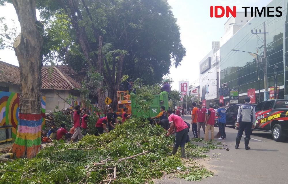 Kecepatan Angin yang Menerjang Kota Madiun 60 Kilometer Per Jam