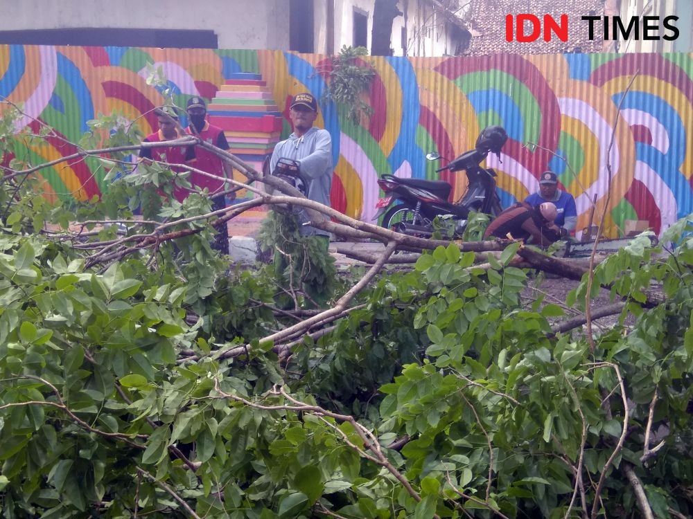 Kecepatan Angin yang Menerjang Kota Madiun 60 Kilometer Per Jam