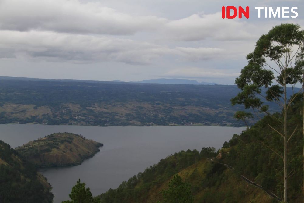 Hijaukan Danau Toba, Yayasan AHM Tanam Pohon di Samosir