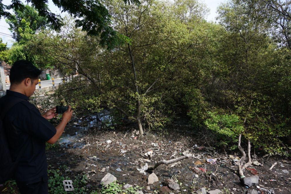 Pelindo Bantah Telah Menyetujui Rencana Penebangan 4.000 Mangrove