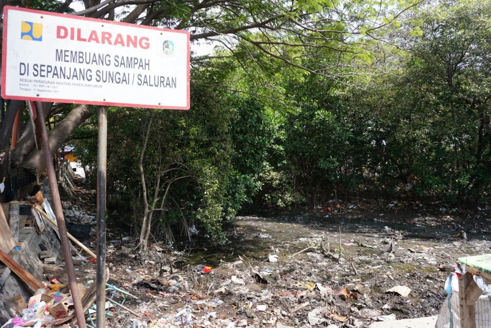 Atasi Penurunan Muka Tanah, Walikota Semarang Fokus Tanam Mangrove