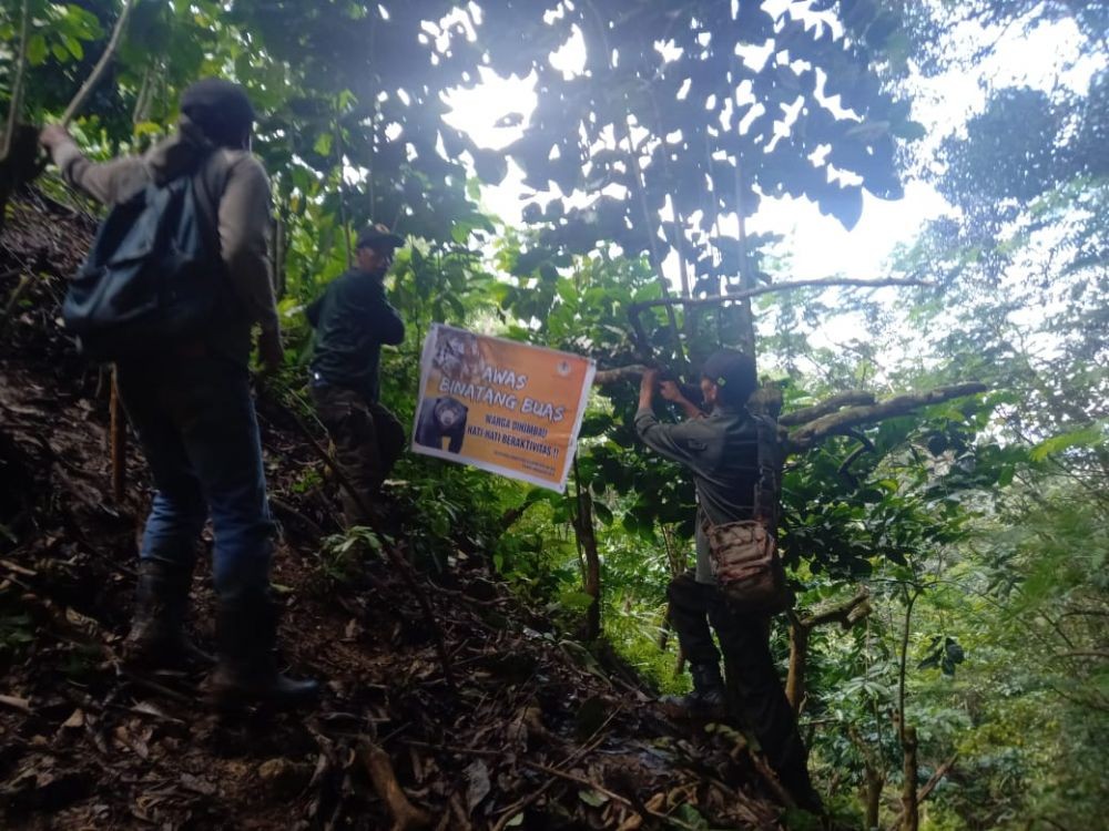 BKSDA Sumsel Tak Temukan Jejak Harimau di Wilayah Ogan Ilir Sumsel