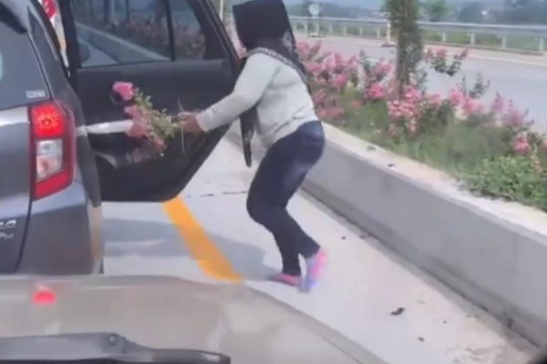 Viral Perempuan Ambil Bunga di Tol Singosari, Begini Respons Pengelola
