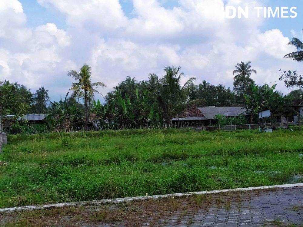 38 Hektar Lahan Pertanian di Sleman Terdampak Tol Yogyakarta-Solo
