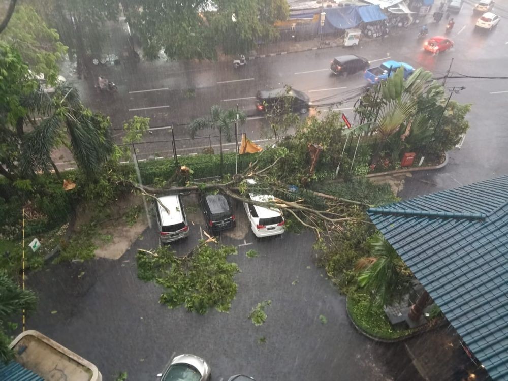 [BREAKING] Hujan Angin, Pohon Tumbang Timpa Tiga Mobil di Bandung