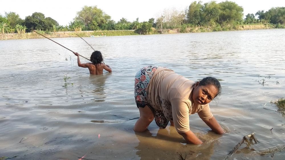 Serunya Emak-emak Lamongan Berburu Ikan Mabuk di Bengawan Solo