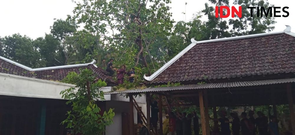 Hujan Disertai Angin Kencang, Pohon Tumbang Menimpa Rumah di Bantul