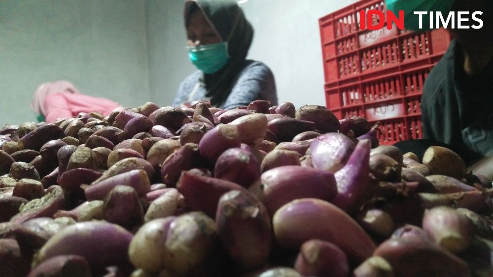 Bank Indonesia: Inflasi DIY Tahun 2019 Terjaga Sesuai Sasaran