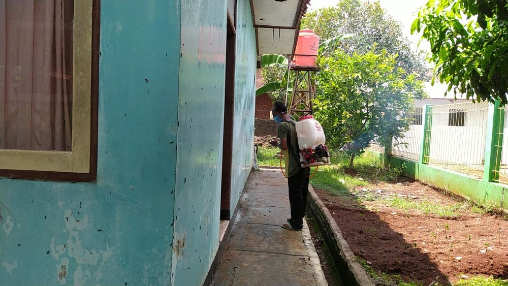 Pemukiman Warga di Cirebon Diserang Hama Ulat Bulu