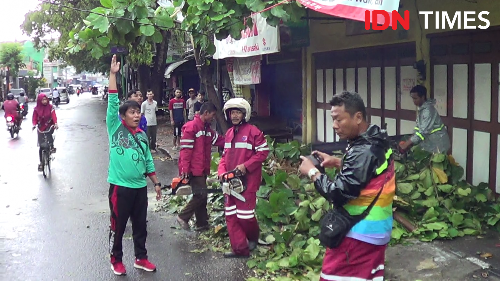 Kronologis Penebangan Pohon di SMAN 1 Semarang, Alasan Warga Was-was