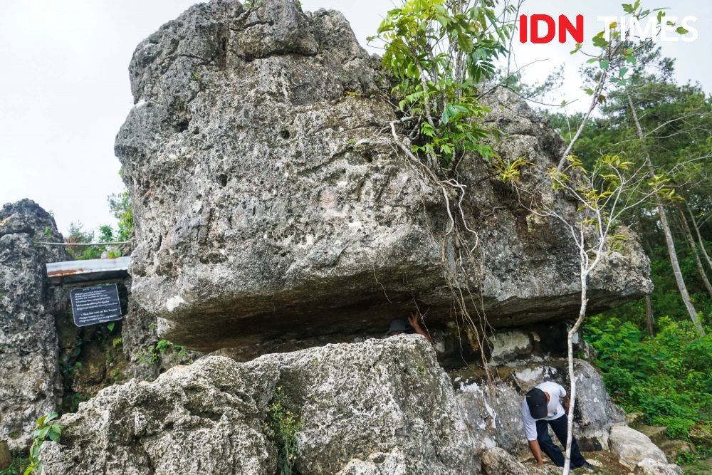 [FOTO] Batu Tumpang, Spot Mistis dan Bersejarah di Hutan Pinus Kalilo