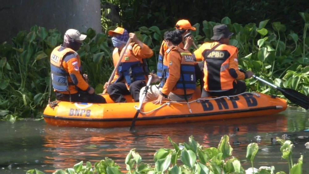 Banyak Perahu Terjebak, Eceng Gondok di Waduk Juanda Tak Terkendali