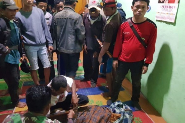 Fakta dan Kronologis Teror Harimau Mangsa Warga Muaraenim Sumsel