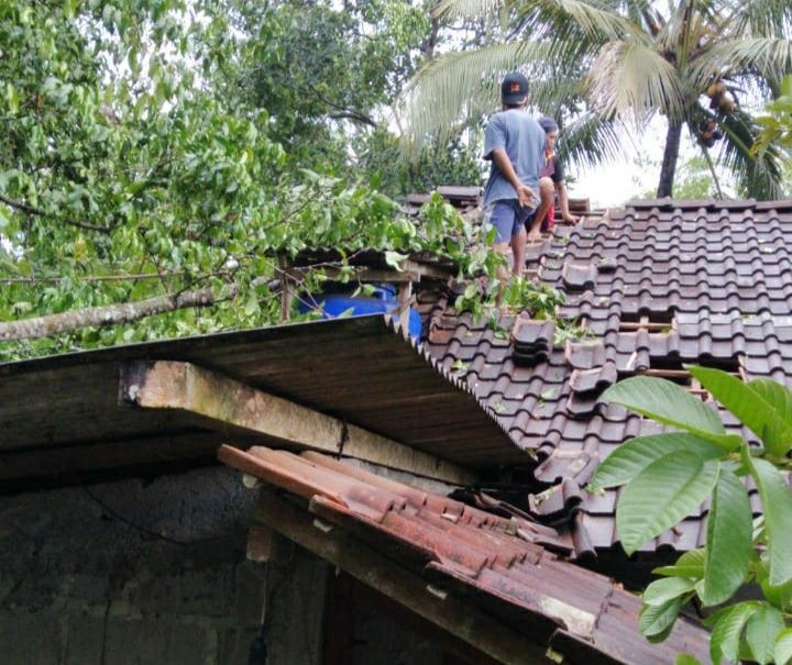 Hujan Semalaman Akibatkan Tebing Longsor dan Pohon Tumbang di Sleman