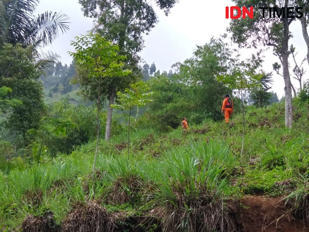 Pergi Cari Kayu Bakar, Seorang Remaja di Cianjur Hilang di Hutan