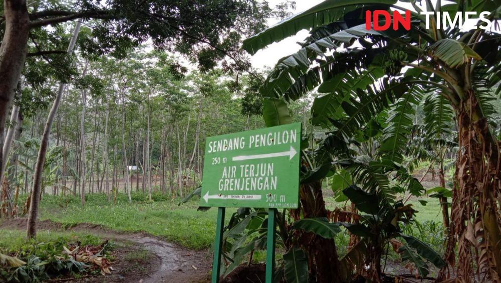 Serunya Berkendara Jeep Menikmati Keindahan Bukit Patiayam Kudus 