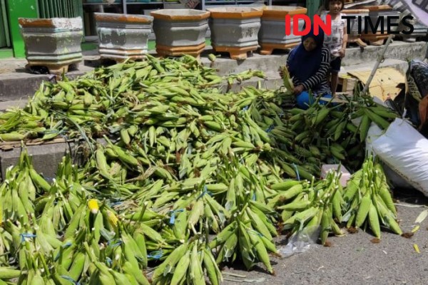 Omzet Pedagang Musiman Tahun Baru di Balikpapan Menurun