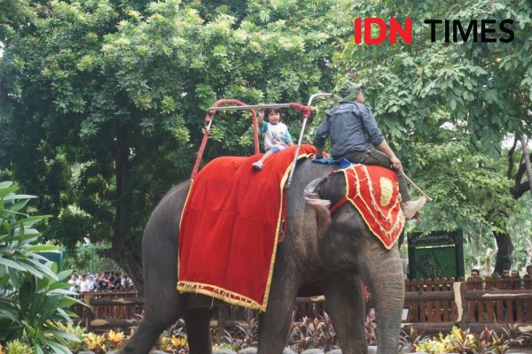 63 Ribu Pengunjung Datang, KBS Penuh Sesak saat Libur Tahun Baru 2020