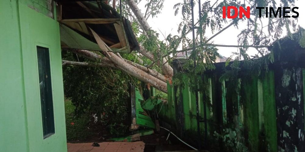 Hujan Lebat dan Angin Kencang, Semarang Panen Pohon Tumbang dan Banjir