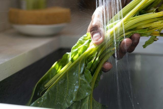 Resep dan Cara Memasak Tumis Sawi Taoge, Gampang Banget!