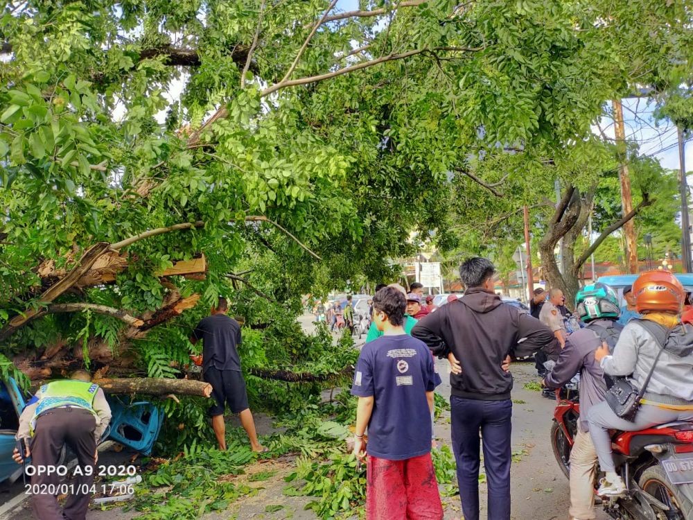 Cegah Bencana di Cuaca Ekstrem, Polda Sulsel Tanam Ribuan Pohon