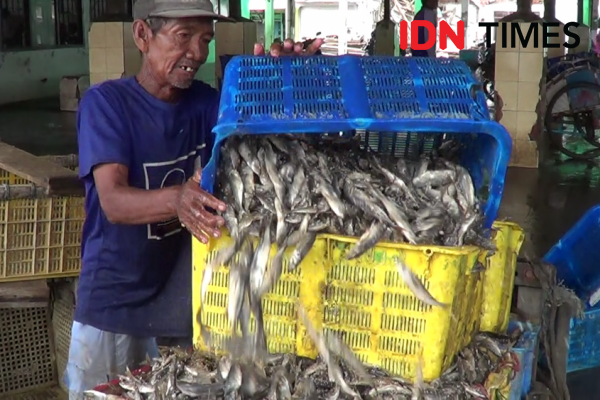 Harga Ikan di Tegal Terjun Bebas, Nelayan Bingung Apa Penyebabnya