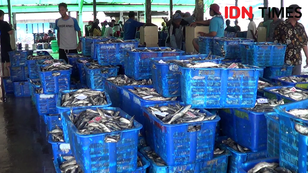 900 Nelayan Pantura Berangkat ke Natuna, ANI Jamin Tak ada Benturan 