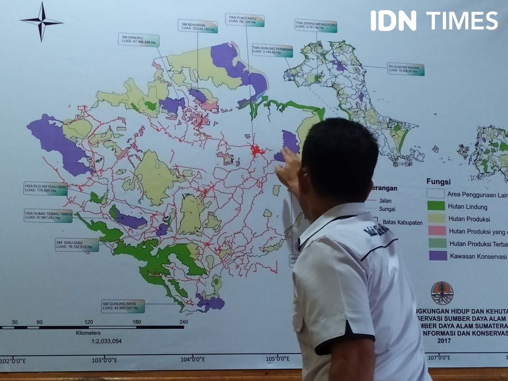 Isu Harimau Masuk Kampus Unsri, Gubernur Sumsel: Tidak Ada Bukti Kuat