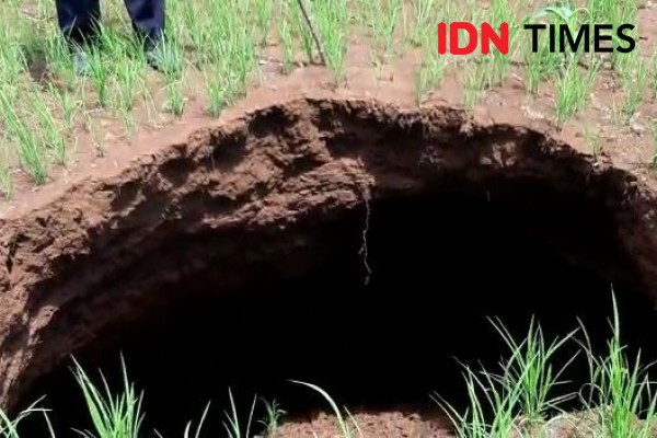 4 Fakta Sinkhole Menurut Ahli, Kerap Muncul di Musim Penghujan