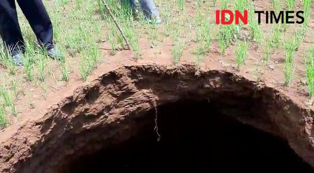 Fenomena Sinkhole Kembali Ancam Rumah Warga di Gunungkidul